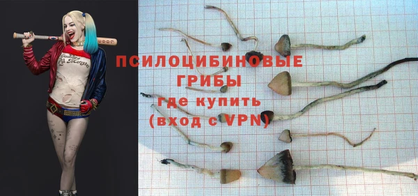 индика Армянск