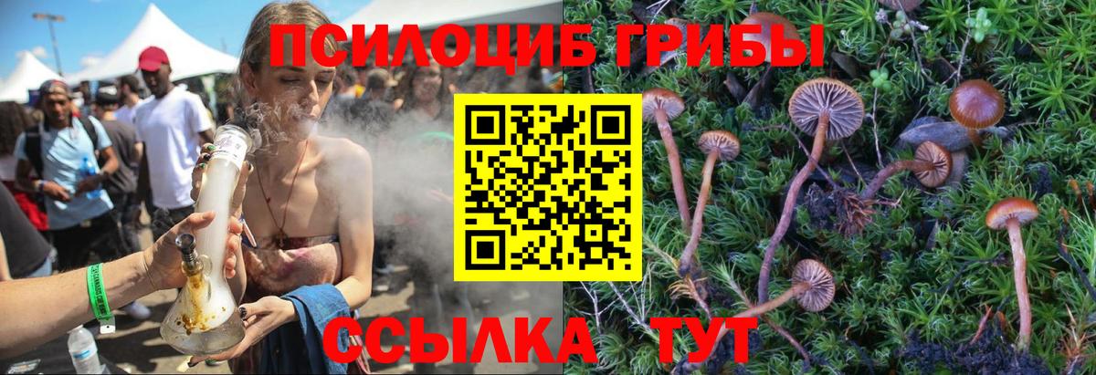 Псилоцибиновые грибы мицелий  Псилоцибиновые грибы Cubensis  дарнет шоп  Строитель  Вход с VPN 